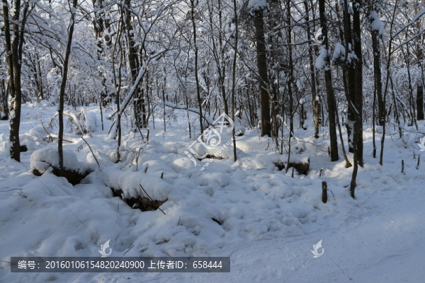 雪谷