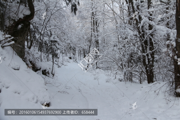 雪谷
