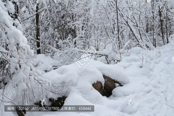 雪谷
