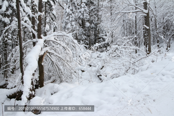 雪谷