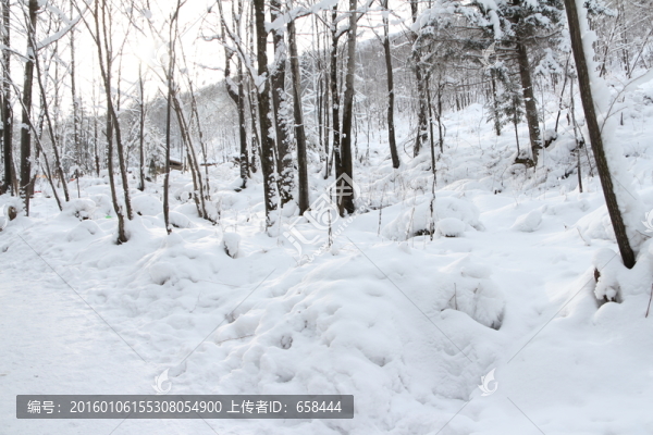 雪谷