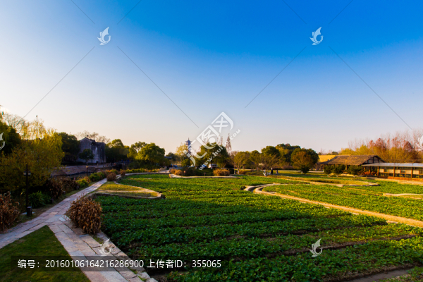 烏鎮(zhèn)