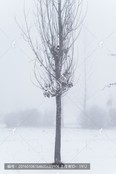 霧