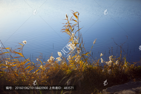 湖