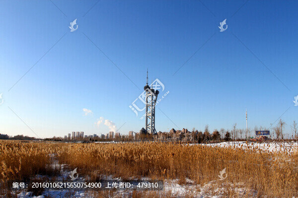 濕地,蘆葦,冬天,觀光塔,白雪