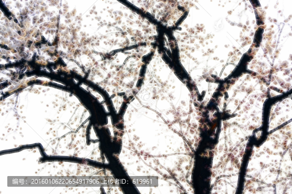 抽象花枝
