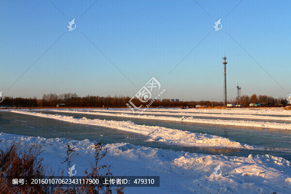 濕地,冬天,白雪,自然,生態(tài)