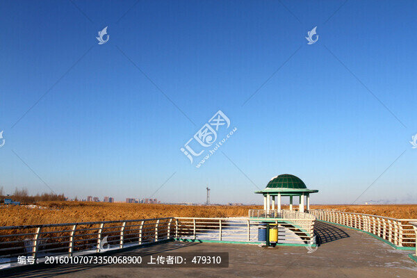 濕地,冬天,白雪,自然,生態(tài)