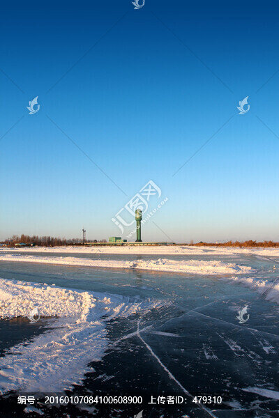 濕地,冬天,白雪,自然,生態(tài)
