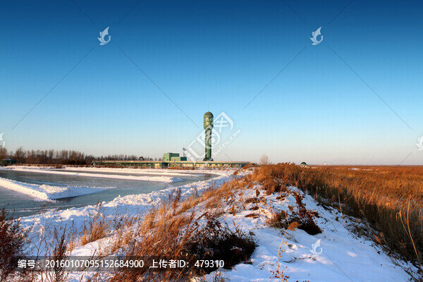 濕地,冬天,白雪,自然,生態(tài)