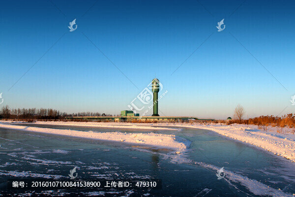 濕地,冬天,白雪,自然,生態(tài)