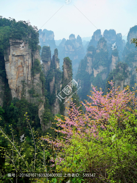 張家界山
