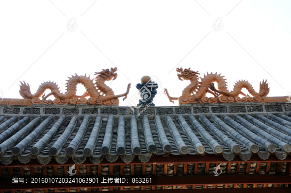 屋頂,龍