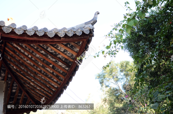 屋頂