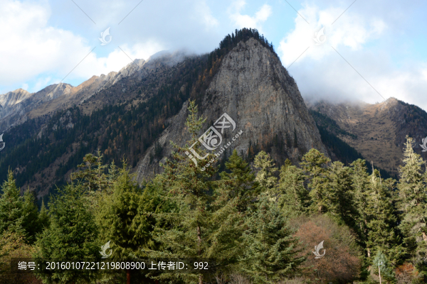 九寨溝原始森林