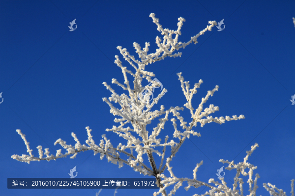 霧凇