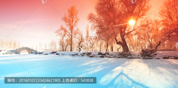 伊寧晨雪