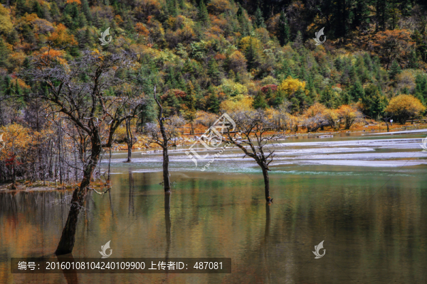雙橋溝景區(qū)