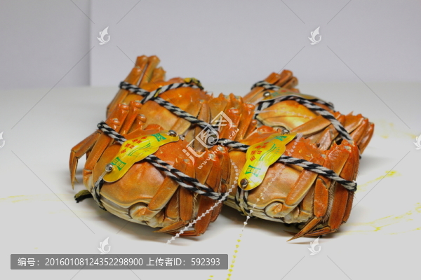 大閘蟹