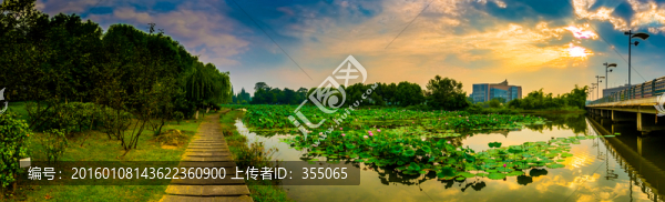 四川大學(xué)