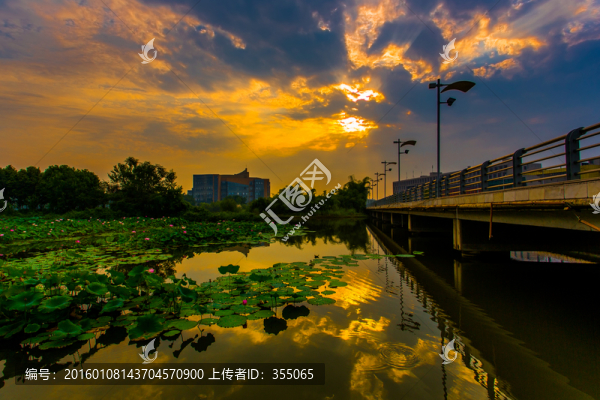 四川大學(xué)