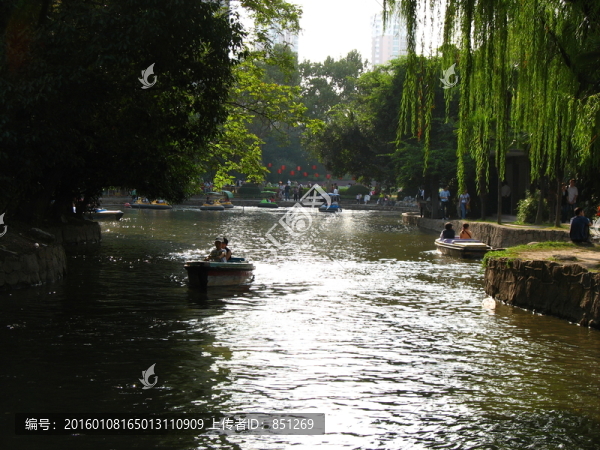 公園游船