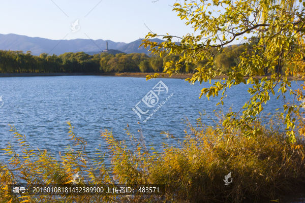 湖