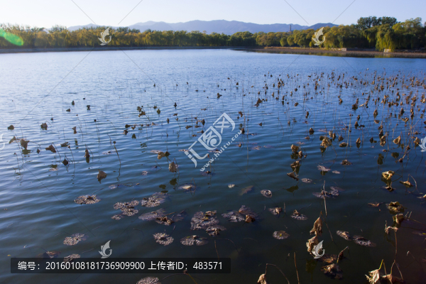 湖