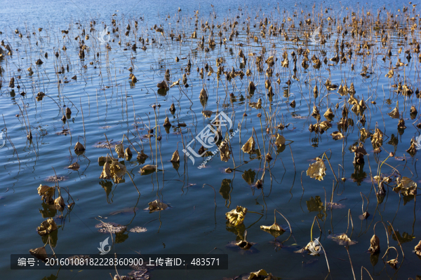 湖