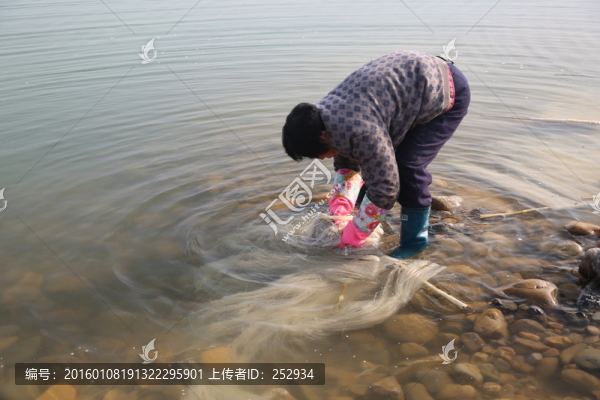 於粉條