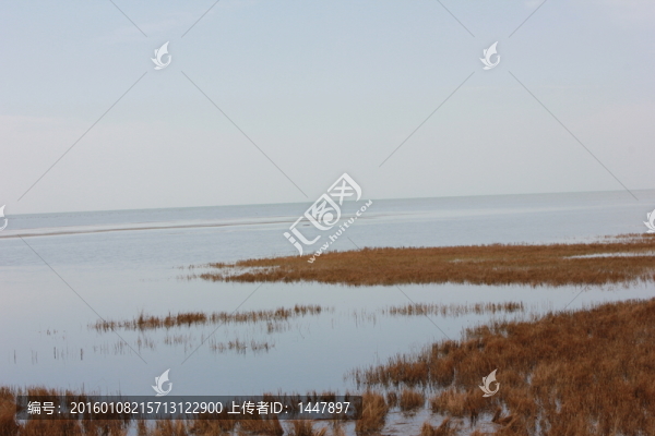 青海湖