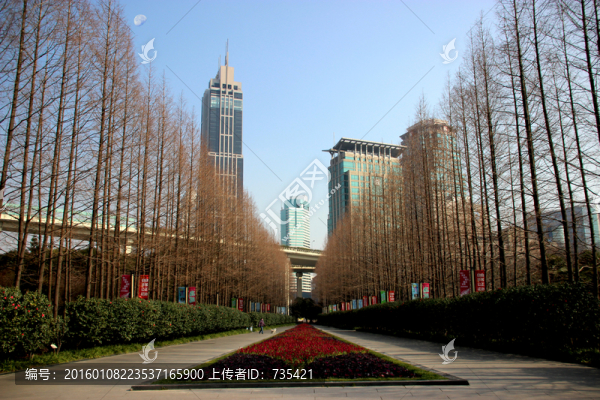 林蔭大道