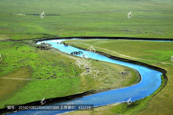草原上的河流和馬群