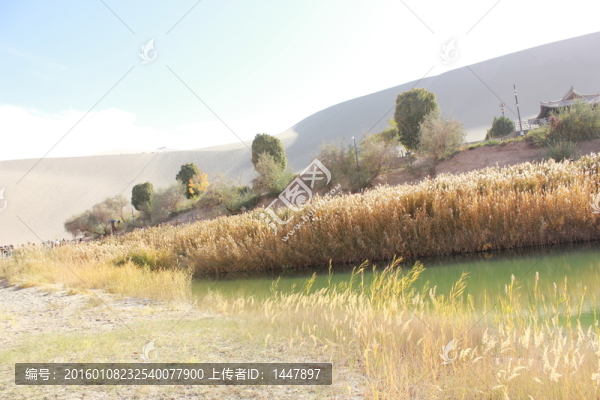 鳴沙山月牙泉