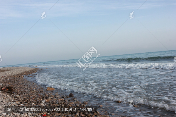 青海湖