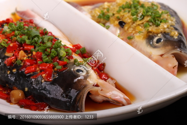雙色魚(yú)頭