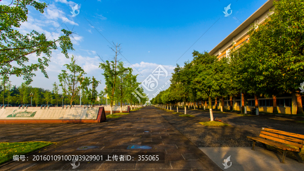 四川大學(xué)