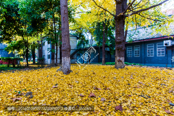 四川大學(xué)