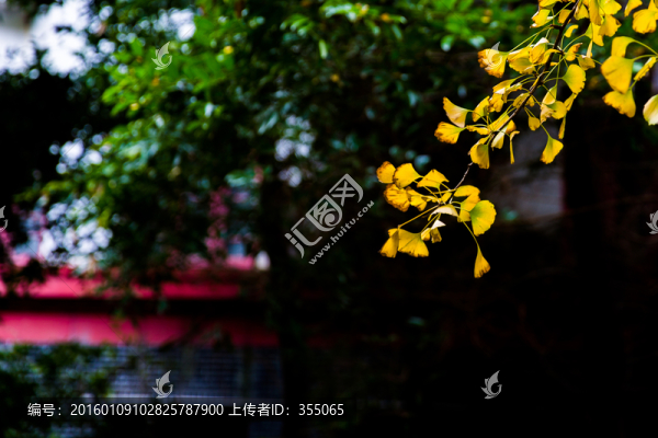 四川大學(xué)