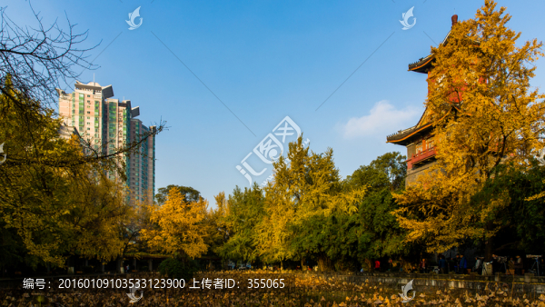 四川大學(xué)
