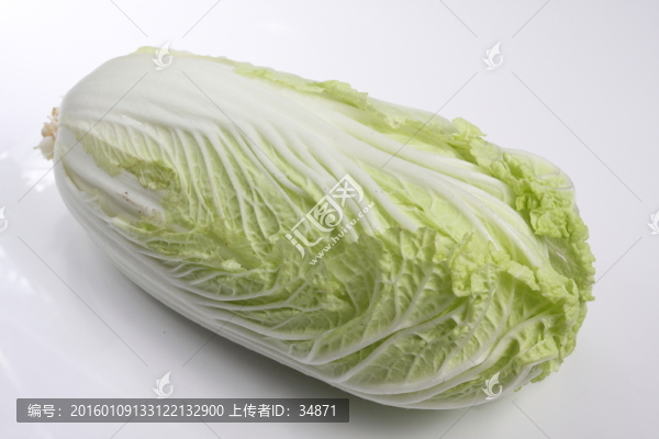 大白菜