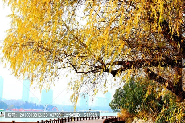 南京玄武湖風(fēng)光