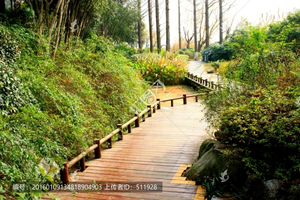 南京玄武湖風(fēng)光