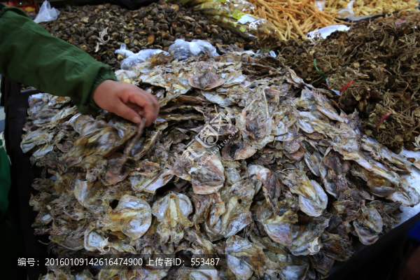 目魚
