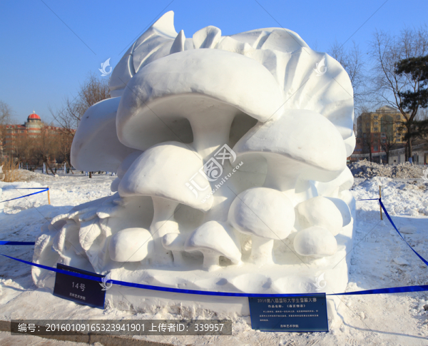 2016國際大學(xué)生雪雕大賽