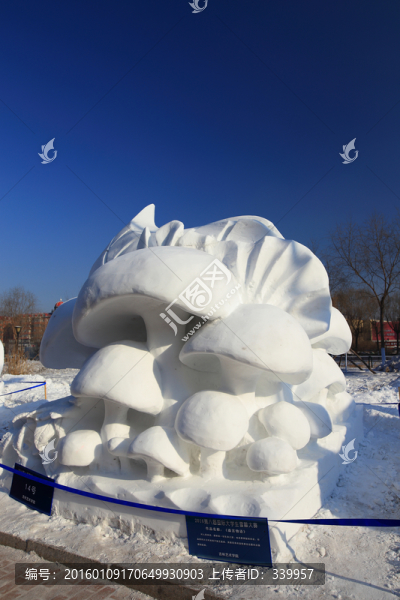2016國際大學生雪雕大賽