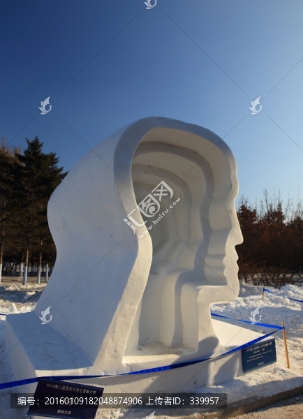 2016,國(guó)際大學(xué)生雪雕大賽