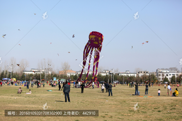 放風(fēng)箏