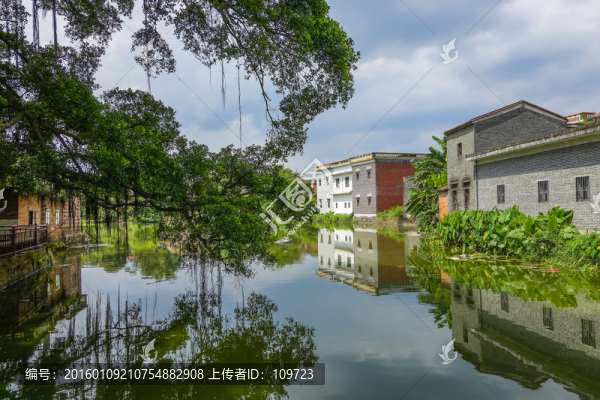 白石村