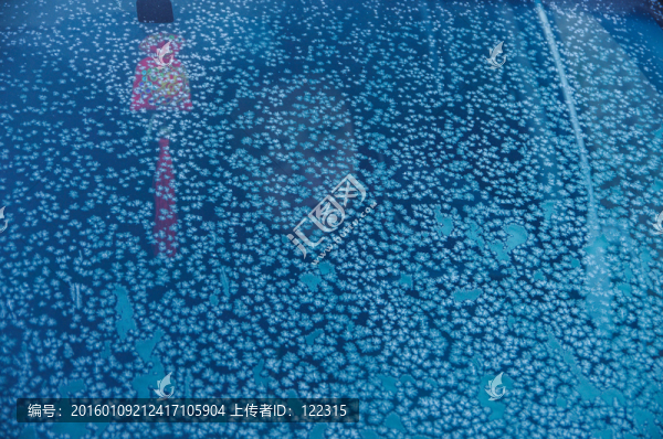 霜花